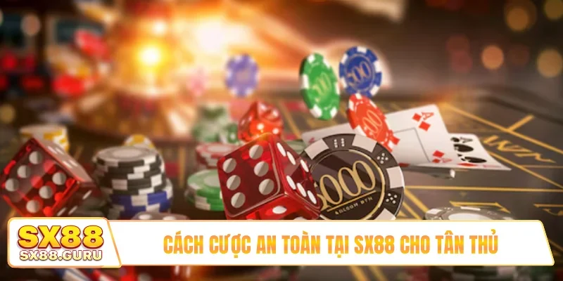 Cách cược an toàn tại SX88 cho tân thủ