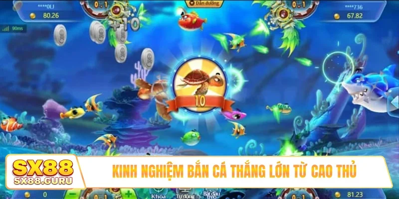 Kinh nghiệm bắn cá thắng lớn từ cao thủ