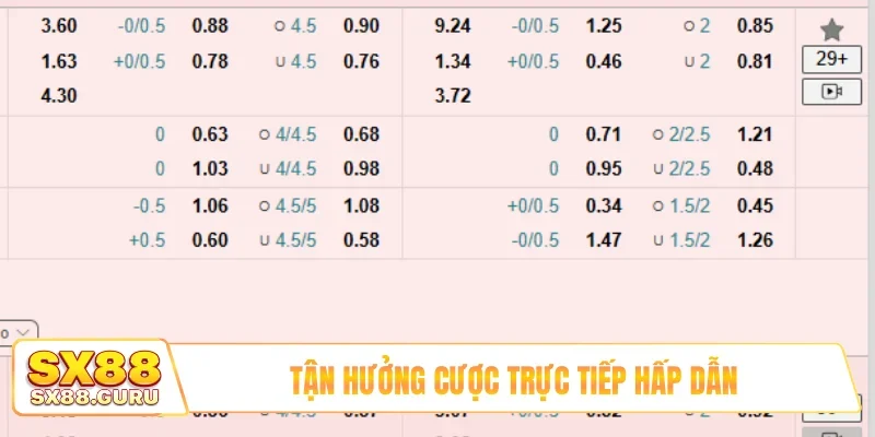 Tận hưởng cược trực tiếp hấp dẫn